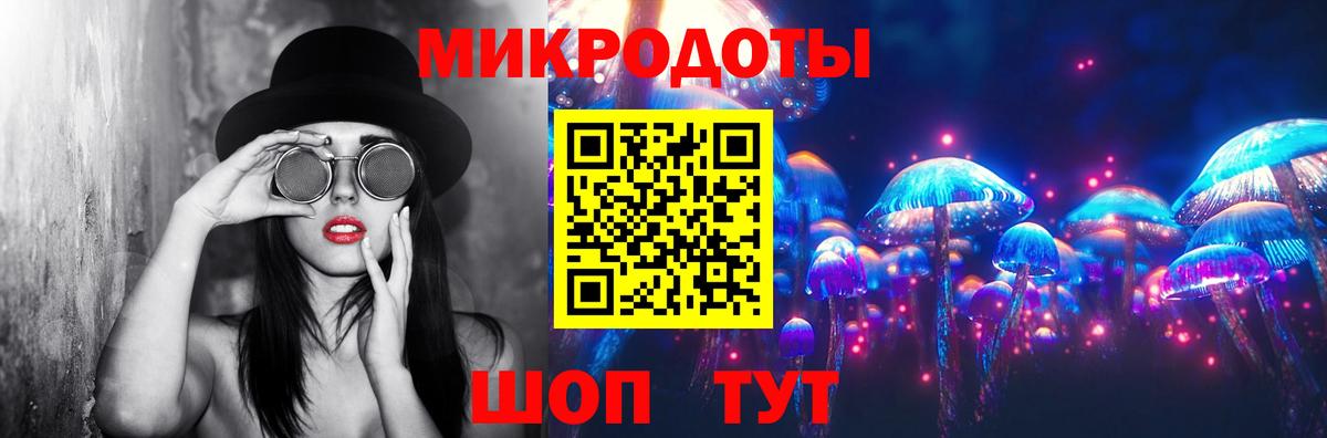Волхов  Псилоцибиновые грибы Psilocybine cubensis  Вход с VPN  Псилоцибиновые грибы GOLDEN TEACHER 