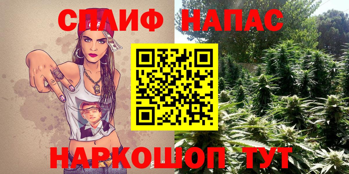 Бошки Шишки тримм  Канабис VHQ  Волхов  Вход с VPN 